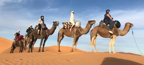 While visiting the Sahara, we rode on camels through the desert to get to our campsite.