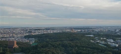 The view from the closest Sky Tower, showing where I live while here in Japan