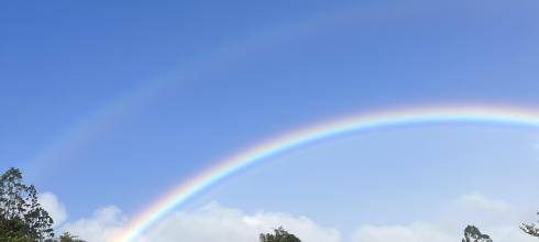 A double rainbow right in my backyard!