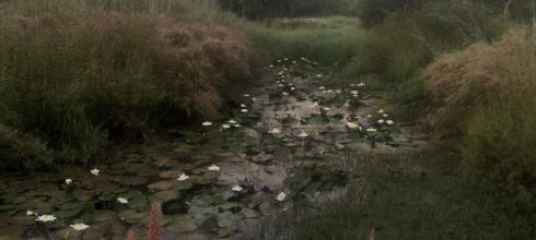 A tributary of The Gambia river runs just south of my town. 