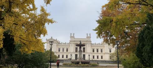Main university building, with yellow leaves framing the walkway