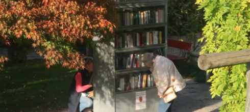 Little free library in a park