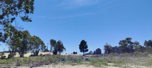 The view nearby Colonia