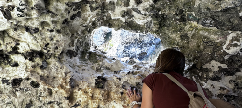 Always something new to learn and discover