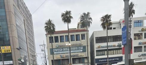 I took this photo of the city from the bus on my way to school.