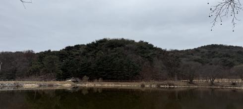 A peaceful moment in nature as spring begins to arrive