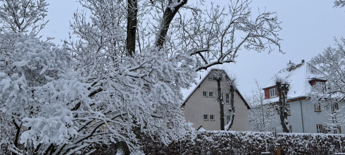 The snowy landscape on my walk to work 