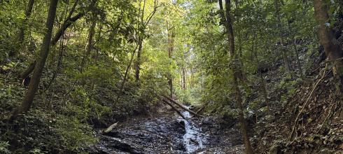 La Cangreja National Park