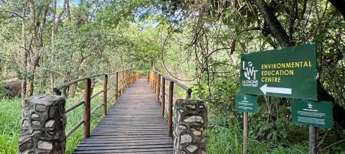 Lilongwe Wildlife Centre bridge — Crossing the quiet bridge inside Lilongwe National Park and Wildlife Trust.