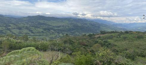 The view from a hike in town!