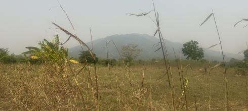 The mountain I live next to during the harmattan