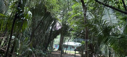 A hike in my district