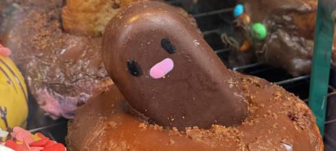 Can you guess which pokemon this is?