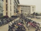 Rows of bicycles parked in front of the university library. Just one of many lots across the campus!