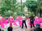 Ribbon fans