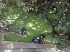 Students relaxing together outside