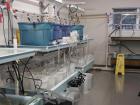 My summer research lab in Canada