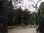 A park in Ñuñoa