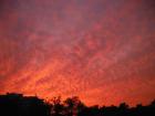 A sunset from my window