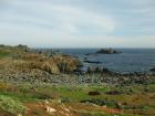 The Pichidangui coastline