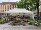 Farmer's markets also sell beautiful fresh flowers