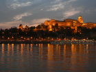 The Buda Castle at night, a beautiful site to view!