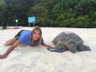 Accompanying a green sea turtle mother back to the sea after nesting