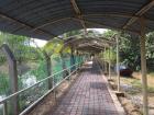 Covered paths protect students from the sun and rain