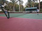 Playing tennis in the afternoon at a court across from my house