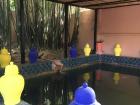Jardin Majorelle 