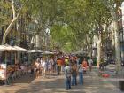 The busiest shopping/walking plaza in Barcelona 