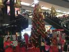 The biggest Christmas tree that I've ever seen in a mall!