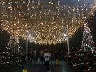 At Gran Estacion, the Christmas lights can be blinding.