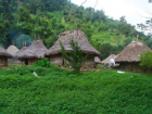 The native folks have completely different lifestyles to those who live in cities. 