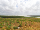 Rocky, arid and sandy: the landscape of la Guajira catches the eye. 