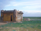 This may seem like an ordinary shack, but it provides a home to poisonous wasps! I didn't get too close. 