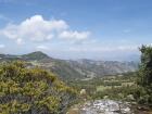 The mysteries of the páramo: amazing plants and deep caves with tombs!
