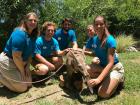 This summer, I worked as a counselor at the San Diego Zoo's camp where I had a blast hanging out with cool animals AND cool kids