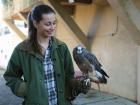 The University of California in Davis is the only college in the state with a bird of prey rehabilitation program