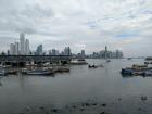 The fish market in Panama City is a popular spot for seabirds such as pelicans