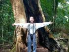 The forest has some of the biggest trees I've ever seen
