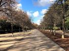 There are plenty of places around Madrid to take long walks and enjoy the fresh air