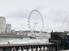This is the infamous London Eye. The ferris wheel is right along the River Thames