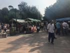 One of the first things I did to immerse myself into the community was go to market that celebrated Asturias traditions! People were selling Asturias flags, making food, and playing games!