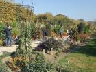 Without bees, we probably won't have beautiful gardens like these all over Paris