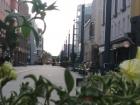 A walking-only street in Oulu's City Center