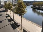 Benches by the river, perfect for relaxing
