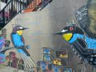 Are these robots or birds? Only the muralist knows for sure