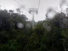Even though this photo is fuzzy because of the rain, you can see a view of the cable car route and the forest below