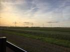 Beautiful view from the train on my way home from Giethoorn 